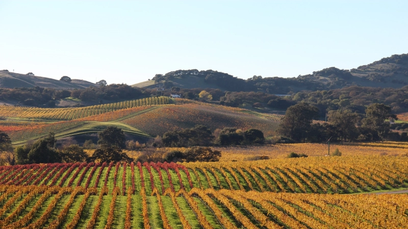 Sonoma County Hospitality Portfolio Listed for Sale
