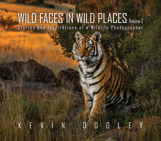 Albuquerque, NM Author Publishes Photograph And Story Collection