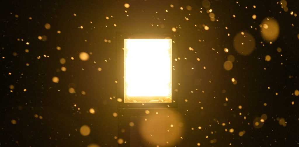 Physicists at the Large Hadron Collider turned lead into gold – by accident
