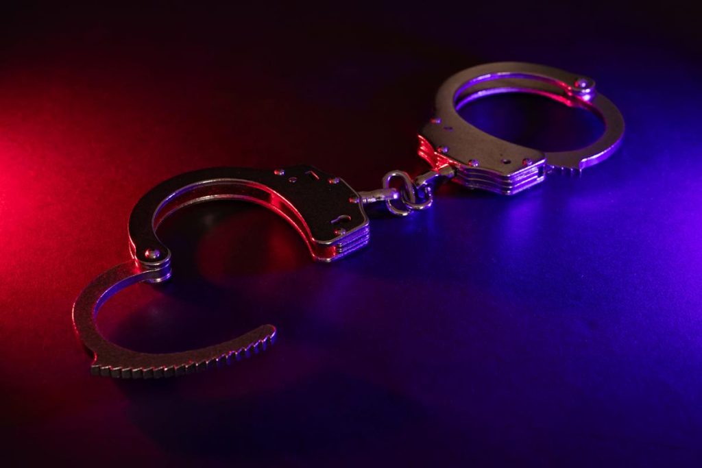 11-year-old calls 911 on Texas mom after she set the family dogs on fire: Police