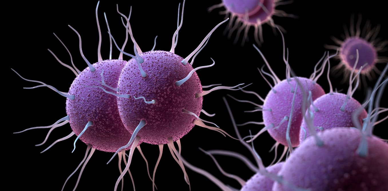 A gonorrhoea vaccine will soon be available in the UK – here’s how it works to protect against the STI