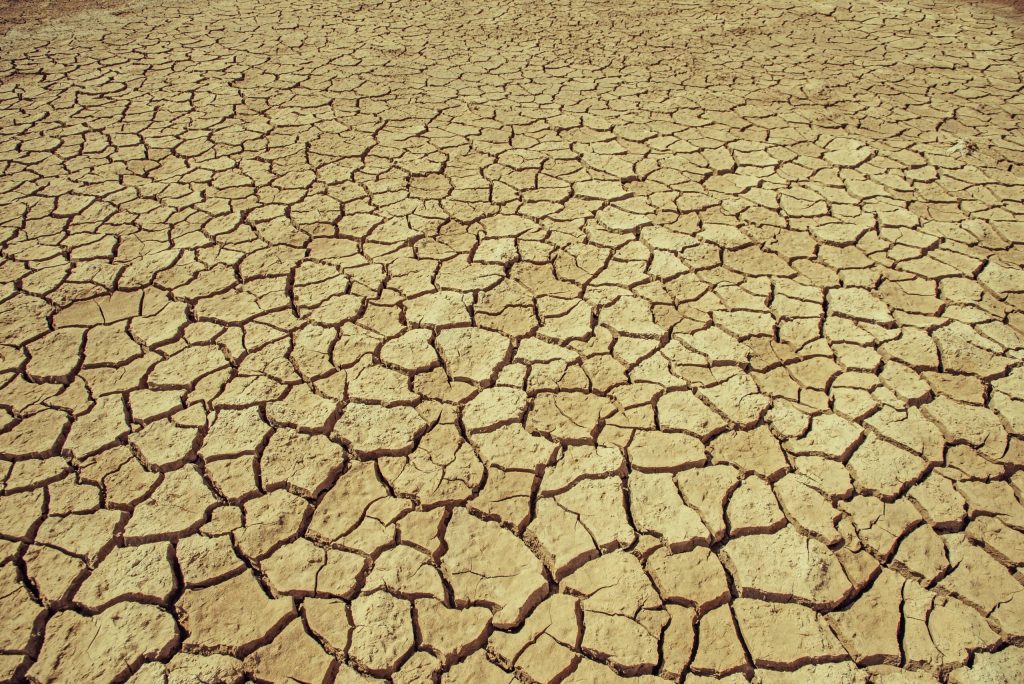 Heat Action Day Report: Climate Change and the Escalation of Global Extreme Heat