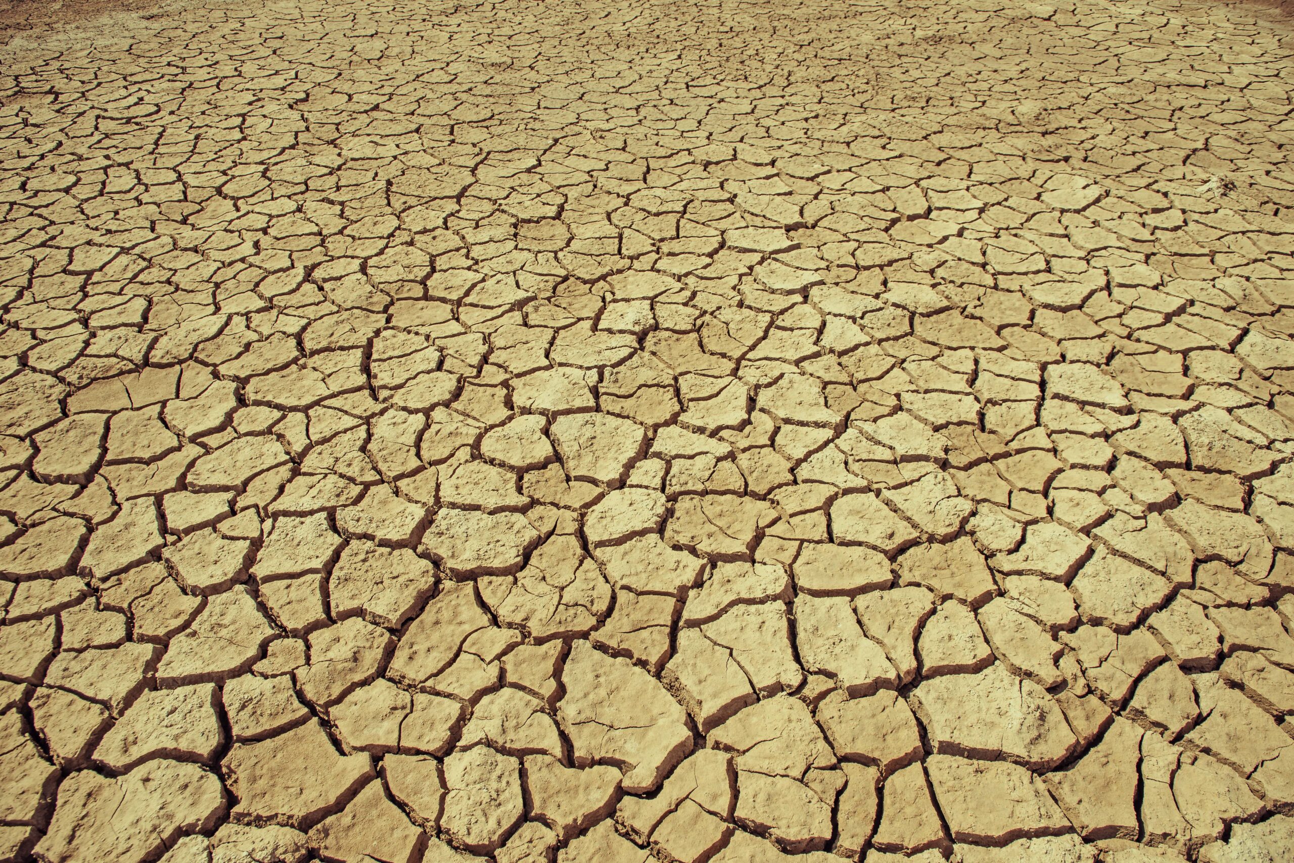 Heat Action Day Report: Climate Change and the Escalation of Global Extreme Heat