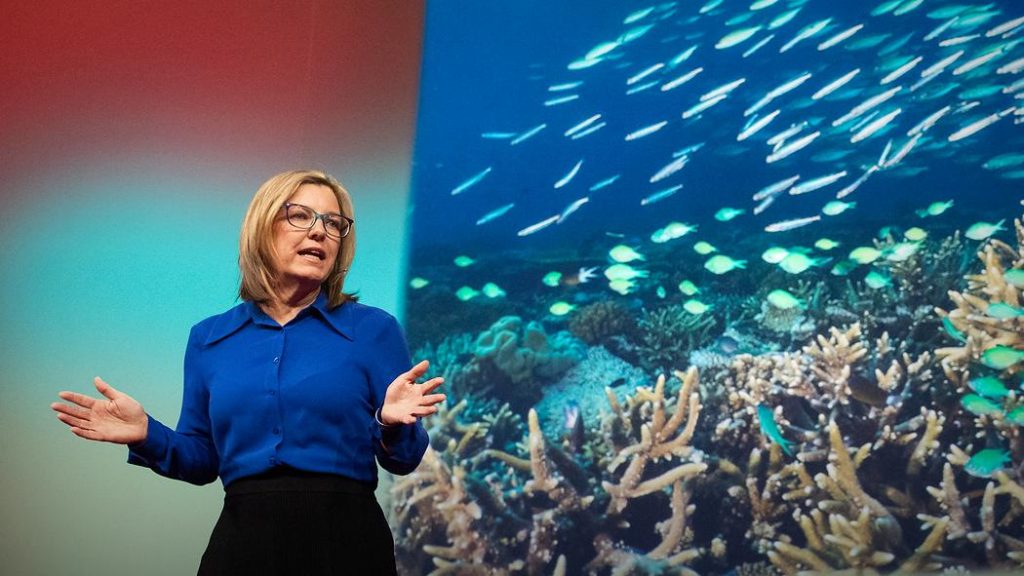 A new lifeline for the world’s coral reefs | Theresa Fyffe