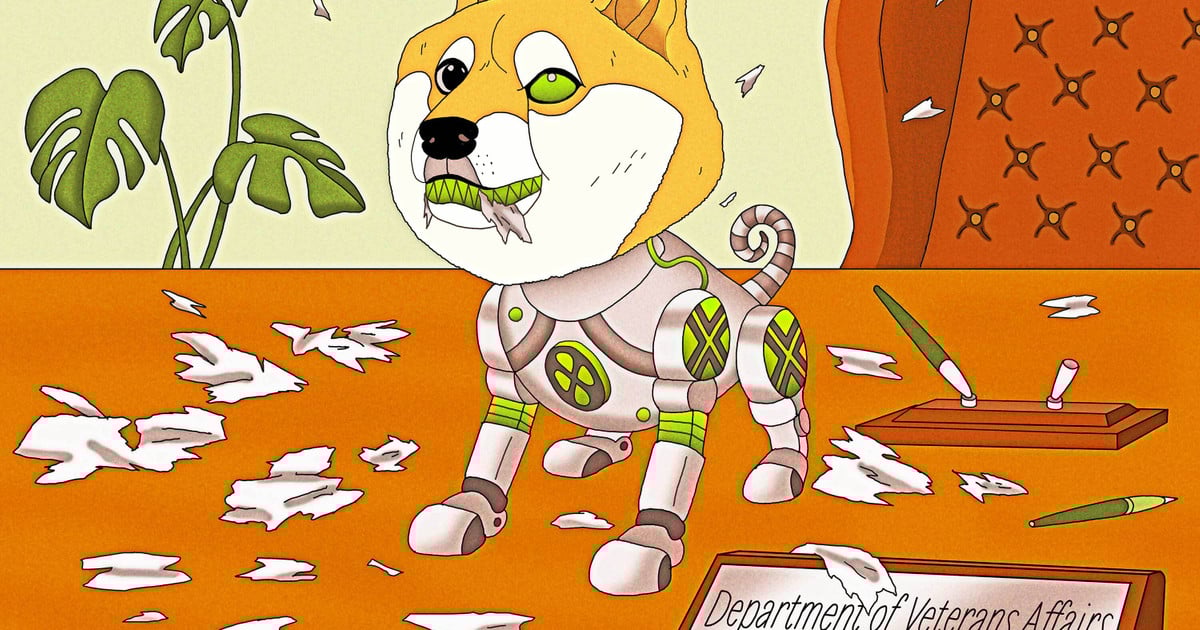 DOGE Developed Error-Prone AI Tool to “Munch” Veterans Affairs Contracts
